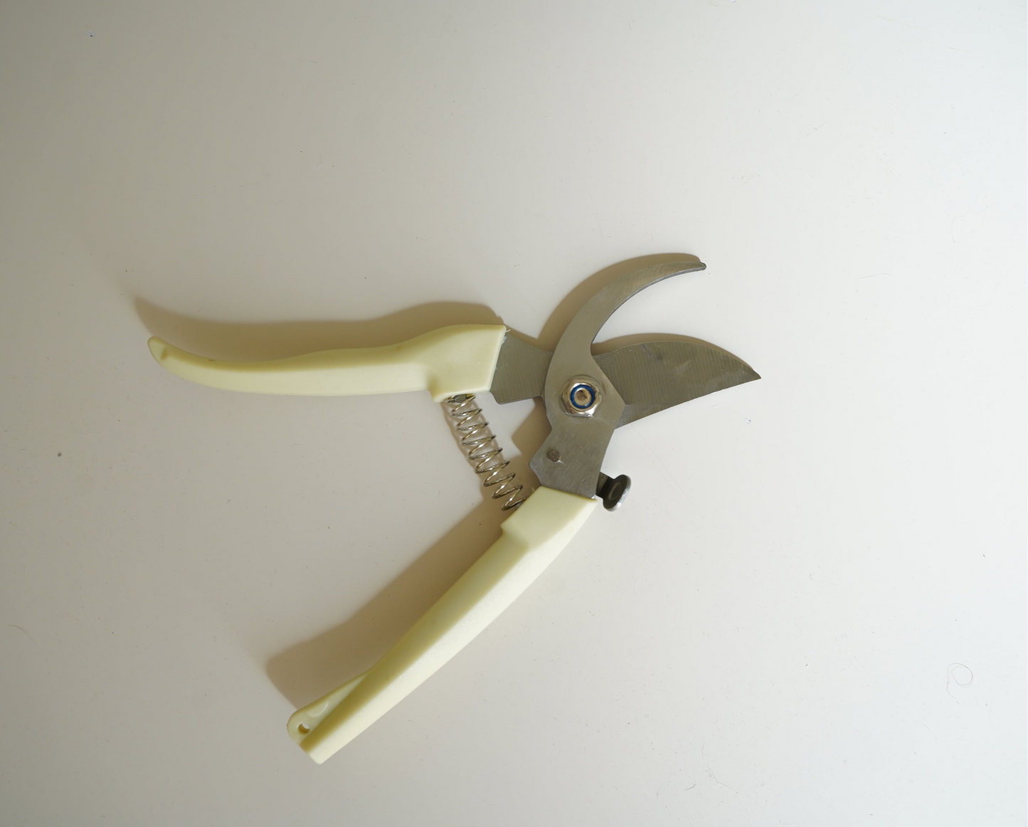 Pruner