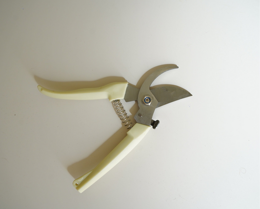 Pruner