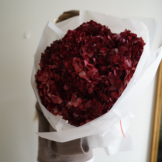 Large bouquet of burgundy hydrangeas, 25 stems, luxury floral arrangement in white paper