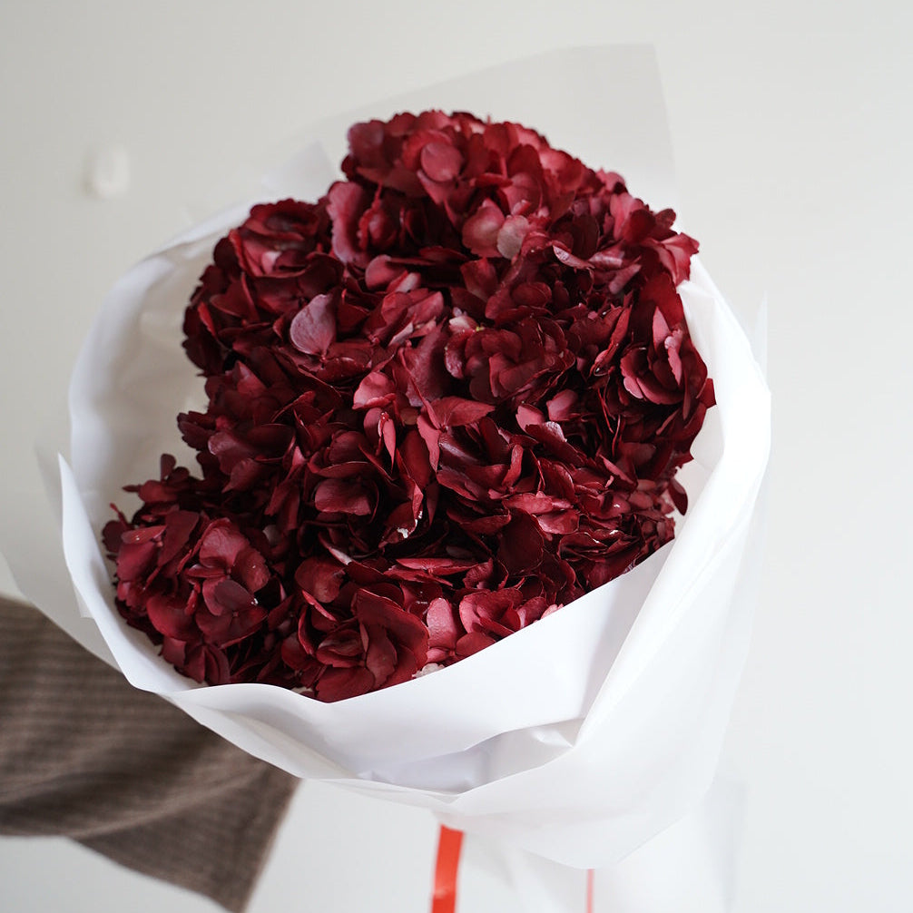 Small burgundy hydrangea bouquet with 5 stems, minimalist white wrapping, elegant flower gift