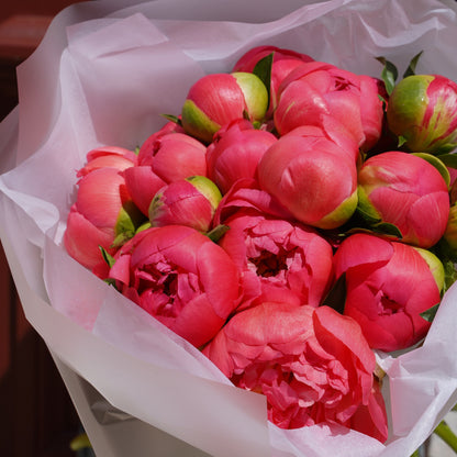 Coral Sharm peonies in Lisbon