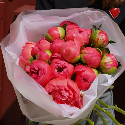 Coral Sharm peonies in Lisbon order delivery