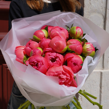Coral Sharm peonies in Lisbon order online