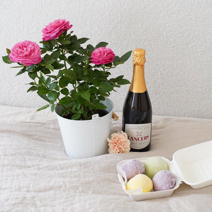 Roses with cachepot + mochi + wine