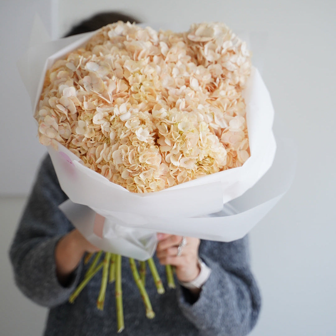 Extra large peach hydrangea bouquet, 35 stems, luxury floral arrangement in white wrapping
