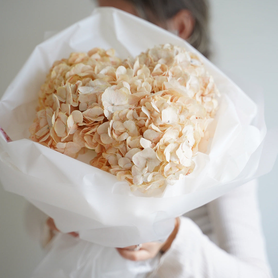 Peach hydrangea bouquet with 11 stems, elegant pastel flowers wrapped in white paper
