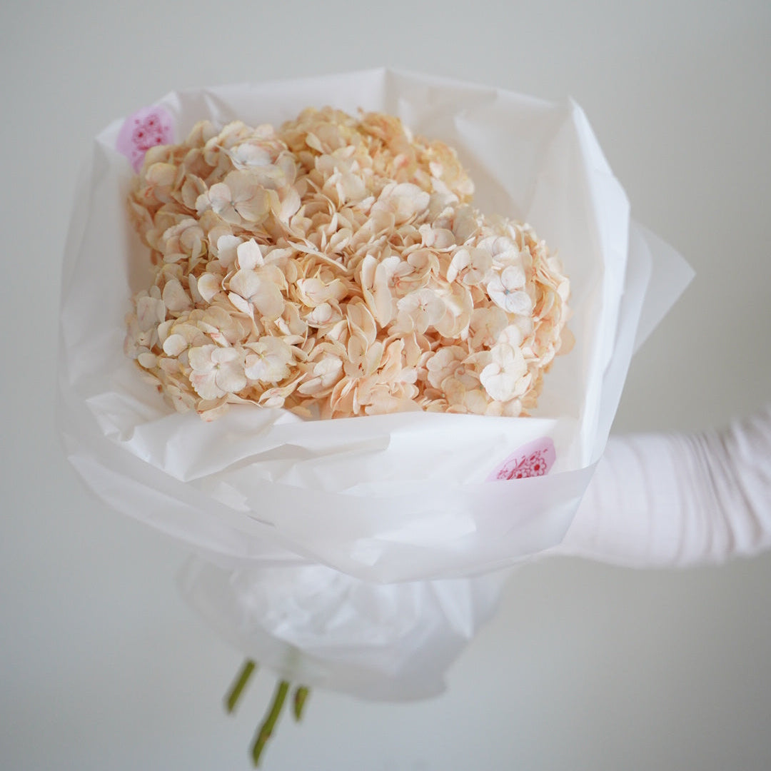 Small bouquet of peach hydrangeas wrapped in white paper, minimal floral gift, 5 stems