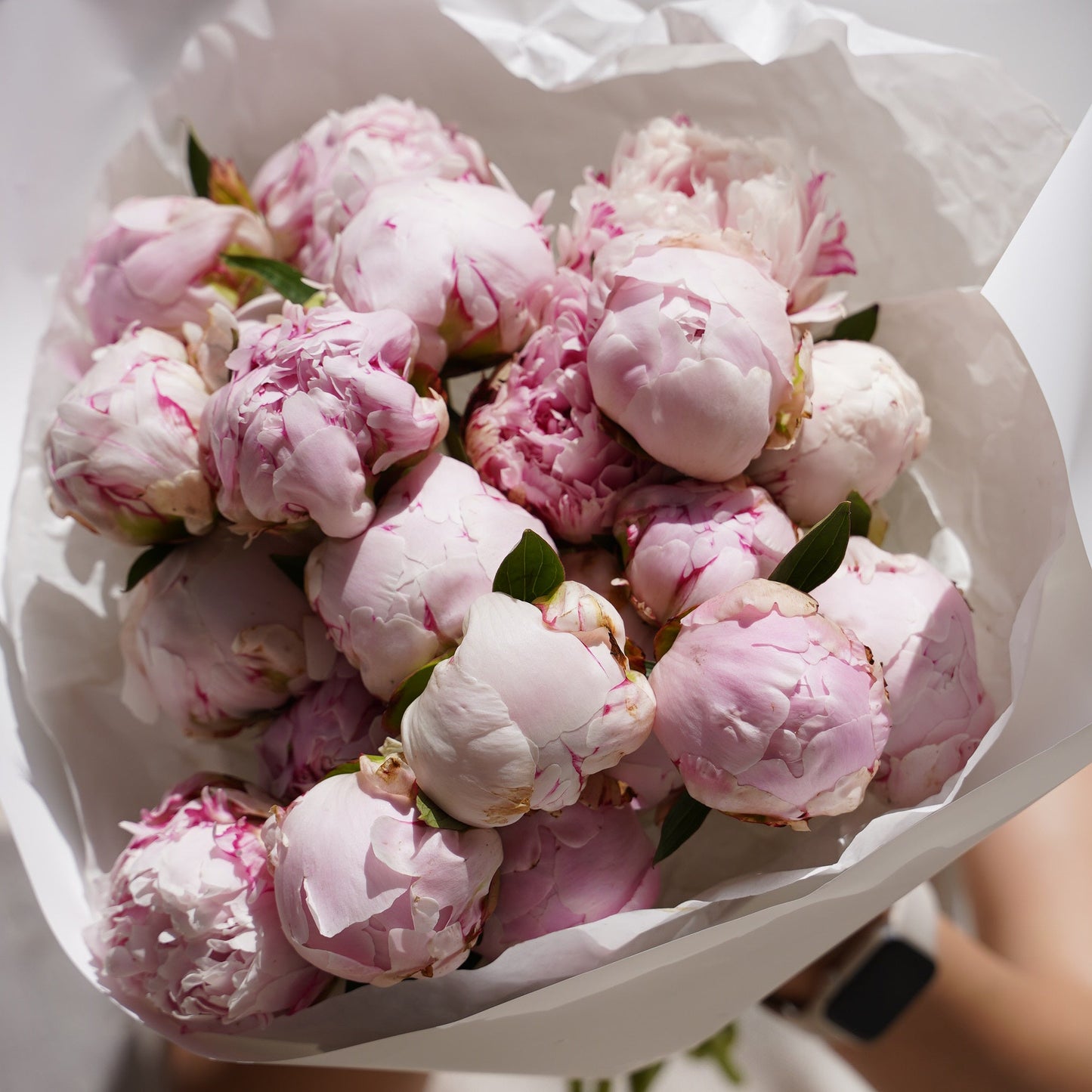 Pink peonies order online in Lisbon delivery