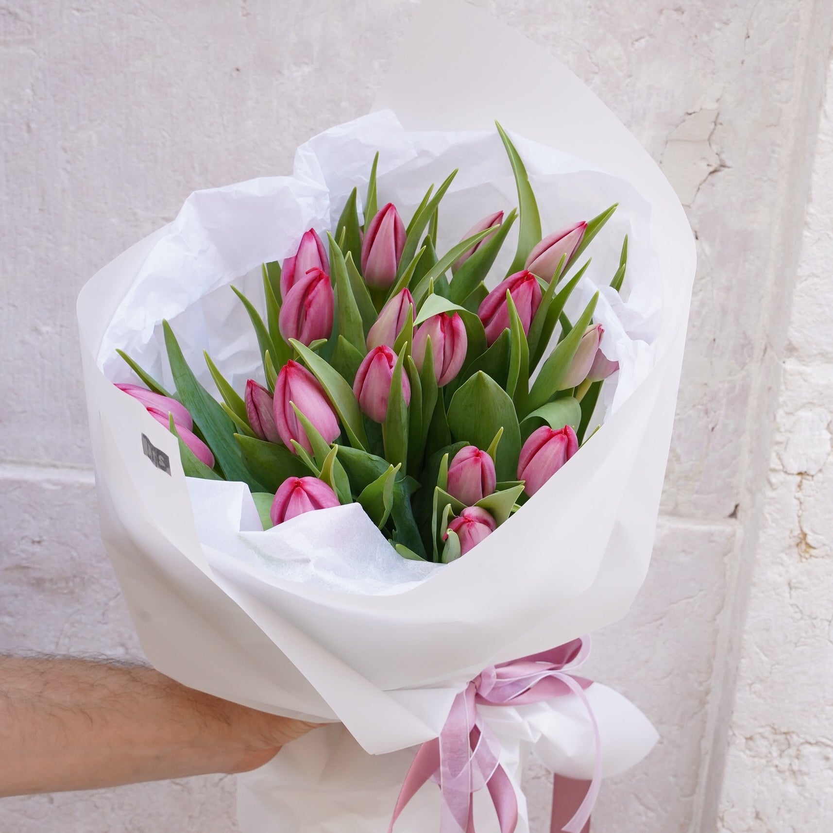 Pink tulip Lisbon 
Tulip bouquet delivery Lisbon
Soft blush tulip flowers Cascais
Hand-tied tulip bouquet Lisbon
Elegant pastel tulips delivery Cascais