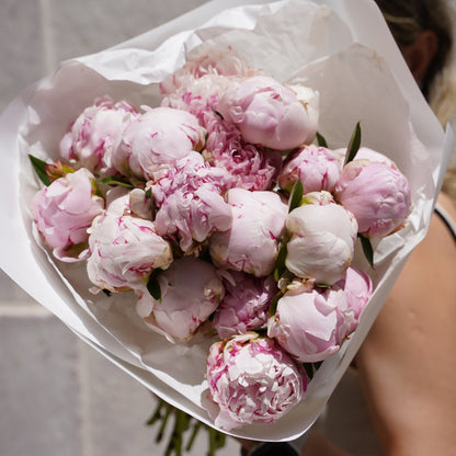 Sara Bernard peonies order online in Lisbon 