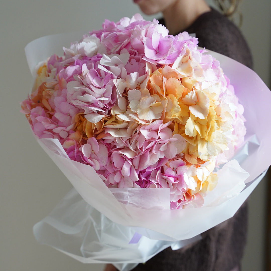 Small marshmallow hydrangea bouquet with 5 stems, pink and peach flowers in white wrapping