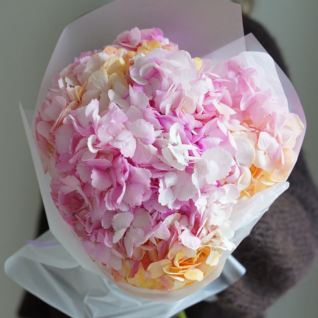 Small marshmallow hydrangea bouquet with 5 stems, pink and peach flowers in white wrapping